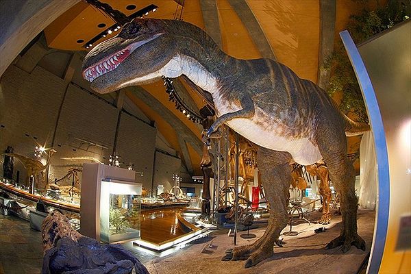 4 Museus de Dinossauros que você não pode deixar de conhecer no Japão 2 Gunma Museum of Natural History