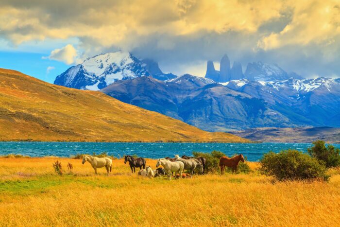 5 Segredos da Patagônia Chilena