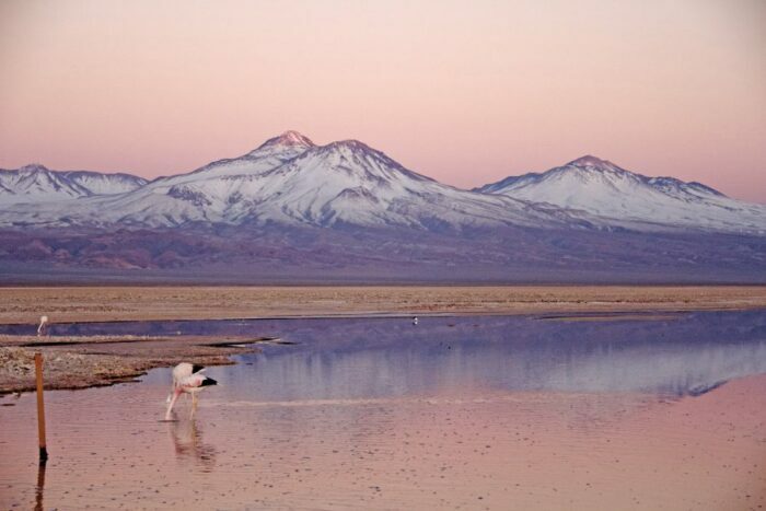 Chile Remoto: Atacama, Patagônia e Chiloé