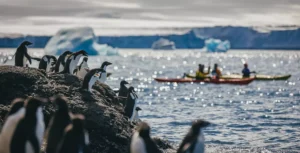 Explore a Antártica